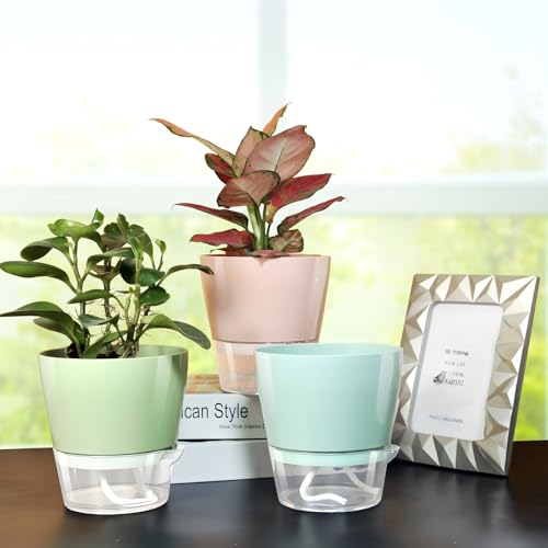 Hayder Plant Pots 6 inch Set of 6, Self Watering Flower Pots - color: Mixed Color