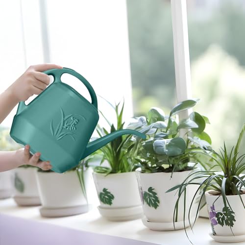 Plastic Watering Can - 1/2 Gallon - Green - color: Green
