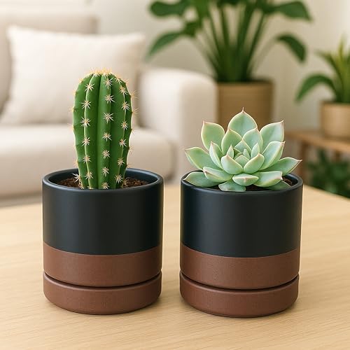 D'vine Dev 4-Pack Ceramic Pots with Saucers, Black/Tan, 4.7 in, 94-X-B-7 - color: Black/Speckled Tan, size: 4.7 Inch