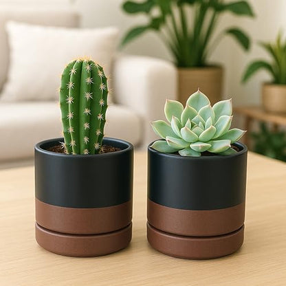 D'vine Dev 4-Pack Ceramic Pots with Saucers, Black/Tan, 4.7 in, 94-X-B-7 - color: Black/Speckled Tan, size: 4.7 Inch