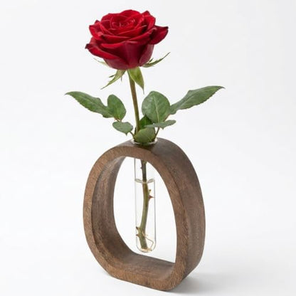 Solid Wood Frame Glass Test Tube Vase Desk Hydroponic Plant,Modern Decorative Hydrophilic Plants Vases,Mini Propagation Station for Hydroponic Plants,Desktop Home Office Decor