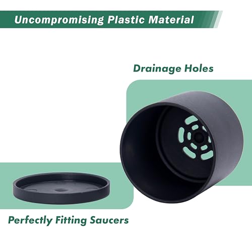 D'vine Dev 24-Pack Mini Black Plastic Planters with Saucers, 2 in, 74-Y-A-6 - size: 2"