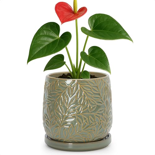 D'vine Dev Embossed Leaves Ceramic Planter, 5 in, Olive, 27-A-V-0 - color: Olive, size: 5 Inch