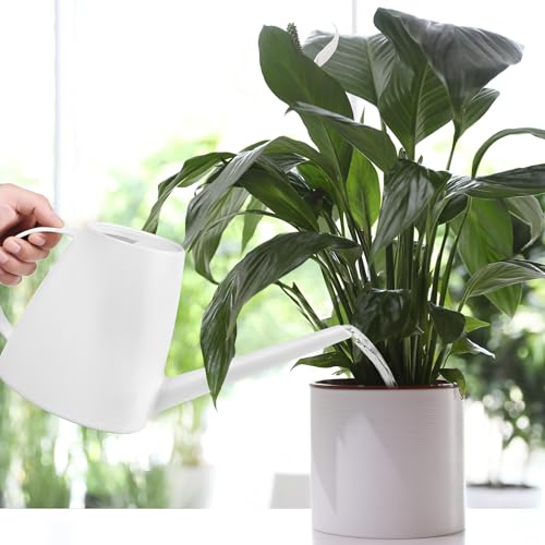 Plant Watering Can for Home Plant Garden 1/2 Gallon White - color: White