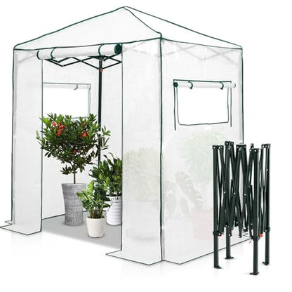 EAGLE PEAK 6x4 Easy Setup Small Pop Up Greenhouse, Clear/White - color: Clear/White, size: 6x4