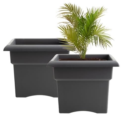 Bloem Veranda 14" Plastic Square Planter Box, Charcoal, 2-Pack - color: Charcoal, size: 14" (Pack of 2)