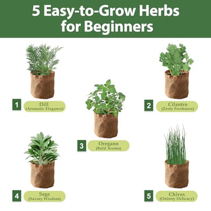 5 Herb Garden Planter Indoor with Wooden Box, Home Kitchen Seed Starter Kit Including Dill, Cilantro, Oregano, Sage, Chives, Birthday, Mothers Day, House Warming, Gardening Gifts for Women, Mom - color: B-Herb