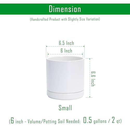 D'vine Dev 6.5 Inch Ceramic Planter Pot, White, 94-O-C-1 - color: White, size: Small