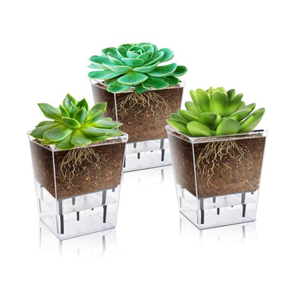 Self Watering Pots Set, Clear Self Planter Pot for Indoor Plants - size: 3Pcs Small