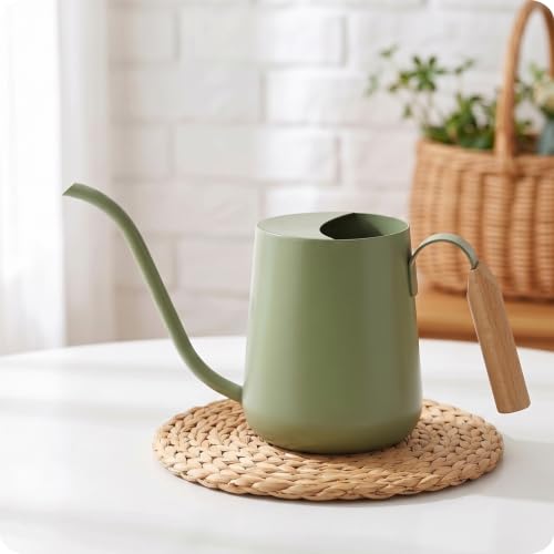 Baffect Watering Can Indoor Plants with Long Spout, 1L / 35oz (Sage Green) - color: Sage Green