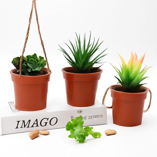 50 Pack 2 Inch Mini Plastic Plant Pots