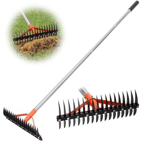 62.5 Inch Thatch Rake for Lawns 18 Sharp Tempered Spring Steel Tines - style: Thatch Rake