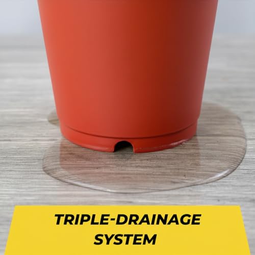 BudTrainer BudCups Nursery Pots for Seedlings, 16 Oz, Red, 5-Pack - color: Red