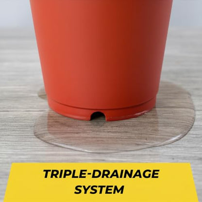 BudTrainer BudCups Nursery Pots for Seedlings, 16 Oz, Red, 5-Pack - color: Red
