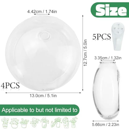 4 Pack Wall Propagation Planters, Oblate Glass Hanging Terrarium
