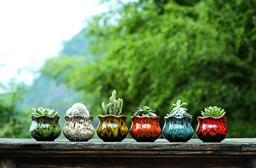Cute Ceramic Succulent Planters, Garden Pots with Drainage and Attached Saucer, Set of 6 - Plants Not Included
