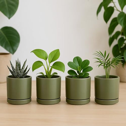 D'vine Dev 4-Pack Ceramic Pots with Saucers, Olive, 3.5 in, 94-X-A-0 - color: Olive, size: 3.5 Inch