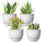 5.5 Inch Ceramic Plant Pot,White, 4 Pack - color: Pure White, size: 5.5 Inch(4 PCS)