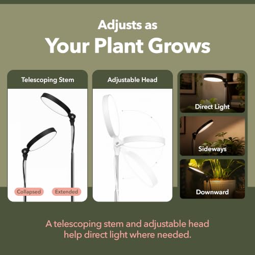 Mossify Clip-On LED Grow Light, Full Spectrum, Black - color: Black