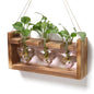 Plant Terrarium Propagation Stations Hydroponics - color: Pink(Faith Hope Love)