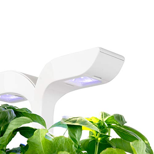 Veritable Exky Classic Indoor Garden, Arctic White
