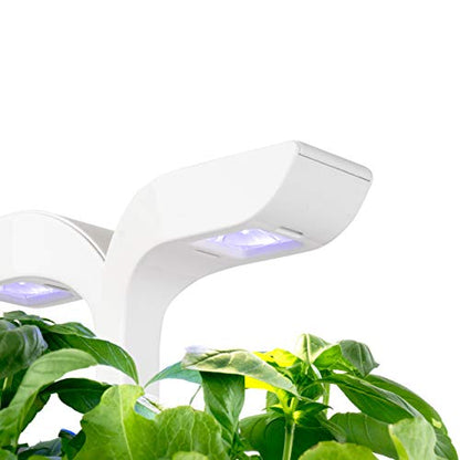 Veritable Exky Classic Indoor Garden, Arctic White