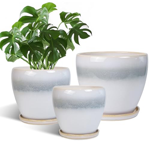 Ceramic Plant Pots - 10 Inch 8 Inch 6 Inch Planters, White-Grey - color: White-grey