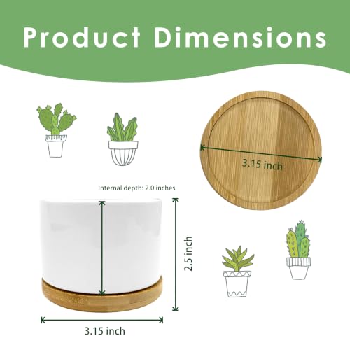 But Did You Document It Funny Plant Pots Succulent Planters - color: Style B