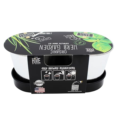 Buzzy Seeds Kitchen Herb Kit 2-Pot with Tray, Metal Planters, Basil Chives