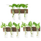 XXXFLOWER Wall Mounted Plant Terrarium with Wooden Stand 3 PCS - size: 9 Glass Tubes with Ring