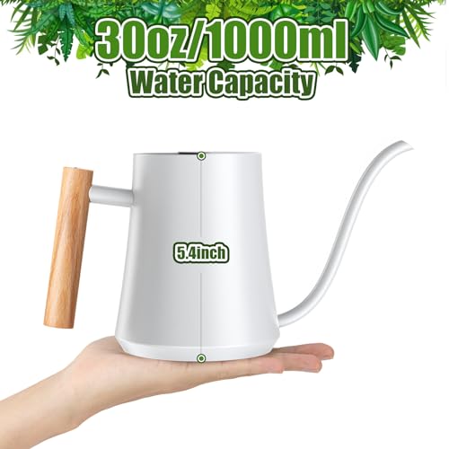 Green Moon 1L/35oz Metal Watering Can Indoor with Long Spout, White - color: White