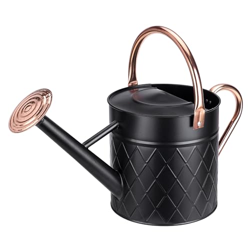 1.75 Gallon Outdoor Metal Watering Can for Garden Plants, Vintage Zinc Watering Can with Removable Spray Spout, Ideal for Outdoor Use (Black) - color: Black