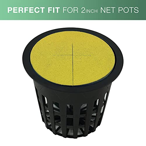 2” Neoprene Foam Inserts for Hydroponics Growing System, Clone Machine, Propagation Indoor Gardening, 100 Pack, Yellow - color: Yellow