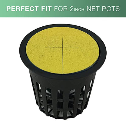 2” Neoprene Foam Inserts for Hydroponics Growing System, Clone Machine, Propagation Indoor Gardening, 100 Pack, Yellow - color: Yellow