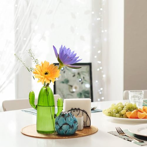 XXXFLOWER Cactus Plant Propagation Station 1 Cactus Vase Terrarium Jars - size: 1PC Cactus Vase
