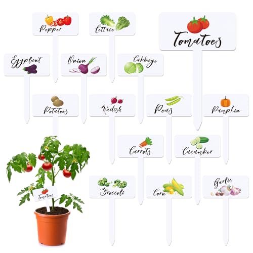 30 Pcs Acrylic Vegetable Labels Signs Waterproof Plant Marker