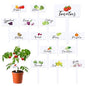 30 Pcs Acrylic Vegetable Labels Signs Waterproof Plant Marker