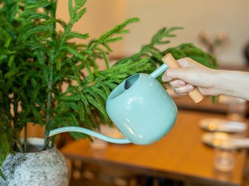 Green Moon 1.2L/41oz Metal Metal Watering Can with Long Spout, Mint Green - color: Mint Green