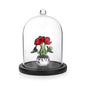 JUXYES 4.5x6 Clear Glass Display Dome Cloche with Handle & Black Wood Base - color: Black