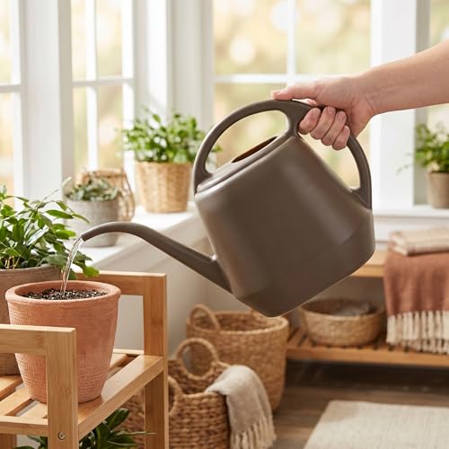 Fasmov Plastic Watering Can, 1-Gallon, Deep Gray - color: Deep Gray