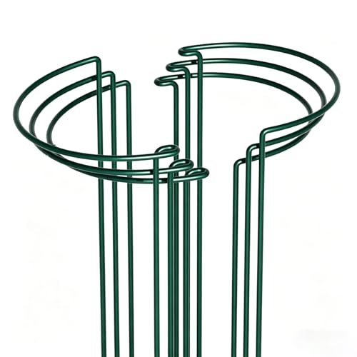 6 Pack Peony Cages and Supports, 10" (W) x 24"(H) Plant Support, Rust-Proof Metal Plant Support Stakes for Outdoor&Indoor Plants