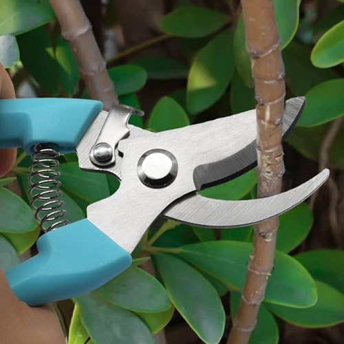 Garden Flower Shears, Blue Handle, 6.9 inches - style: Blue-1 Pcs