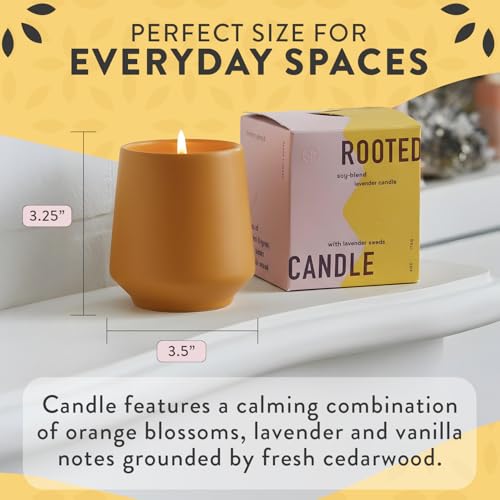 Modern Sprout Soy Candle Planter - Grows Lavender -Cedarwood Scent - 2-Pack - size: Pack of 2