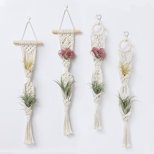 2 Tier 4 Pack Air Plant Holder, Air Plant Wall Hanger - color: White, size: 2-Tier