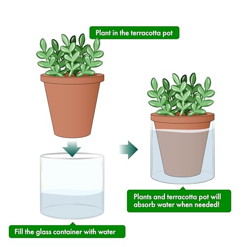 D'vine Dev Self Watering Terracotta Planter Pot, 4 in, 4-Pack, 37-Z-A-1-F - color: Terracotta