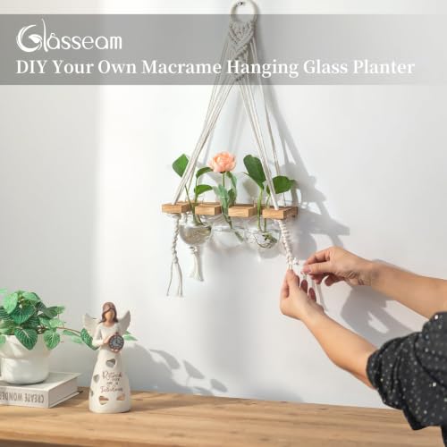 Glasseam Wall Hanging Propagation Station with 3Pcs Glass Propagation Vases