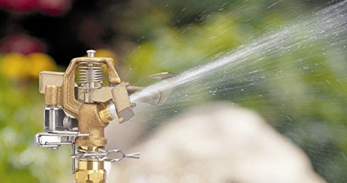 Orbit 55032 1/2" BRS Sprinkler Head, Connection, Silver and Gold - size: 1/2" Connection