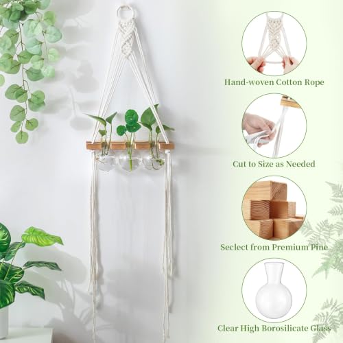 Glasseam Wall Hanging Propagation Station with 3Pcs Glass Propagation Vases