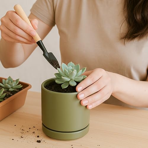 D'vine Dev 4-Pack Ceramic Pots with Saucers, Olive, 3.5 in, 94-X-A-0 - color: Olive, size: 3.5 Inch
