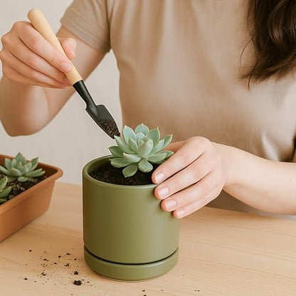 D'vine Dev 4-Pack Ceramic Pots with Saucers, Olive, 3.5 in, 94-X-A-0 - color: Olive, size: 3.5 Inch
